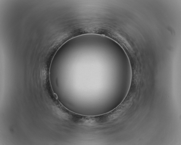 X0000112770113200908201516