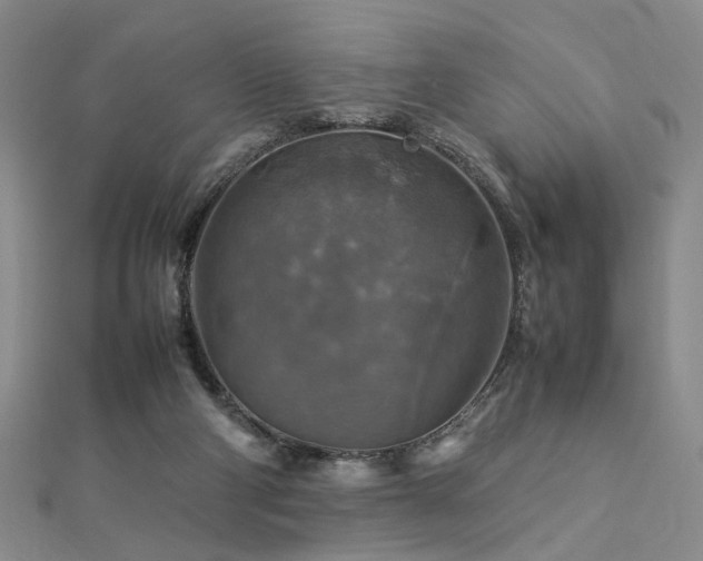 X0000112770114200908201516