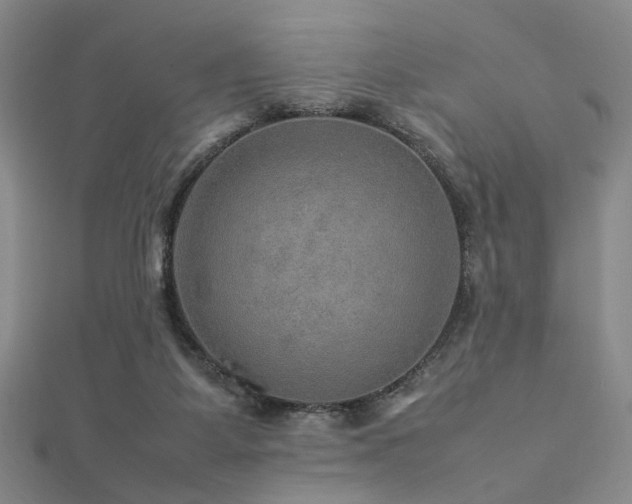 X0000112770115200908201516