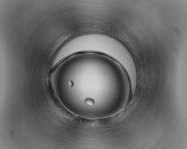X0000112770116200908201516