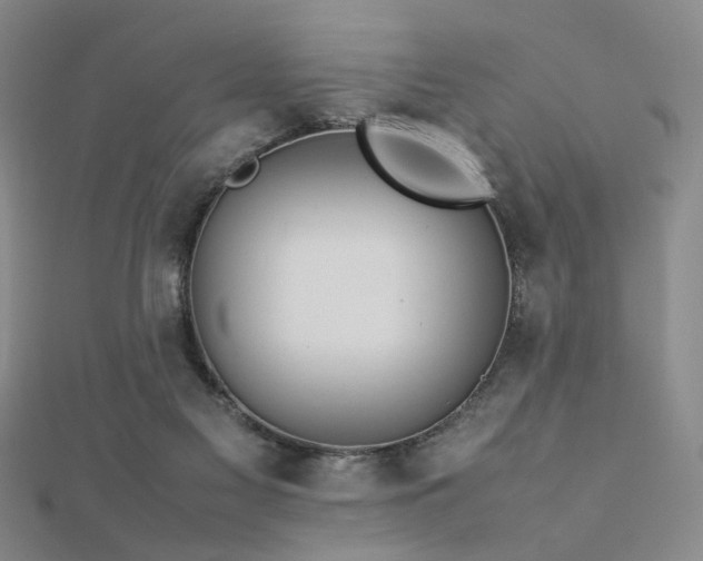 X0000112770117200908201516