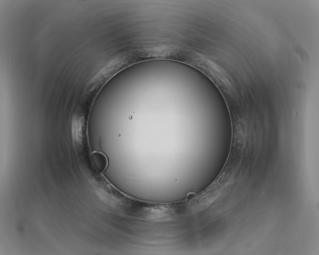 X0000112770118200908201516