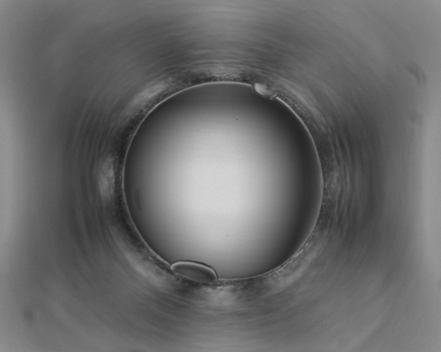 X0000112770120200908201516