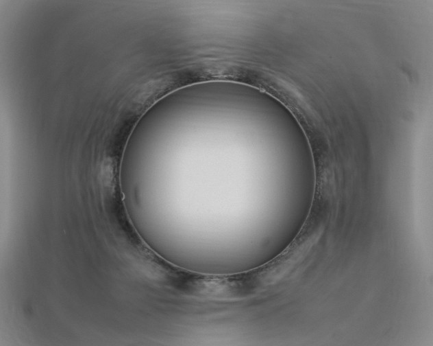 X0000112770121200908201516