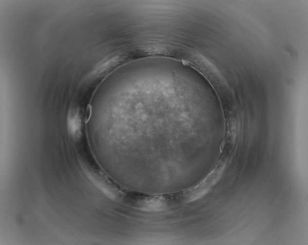 X0000112770124200908201516