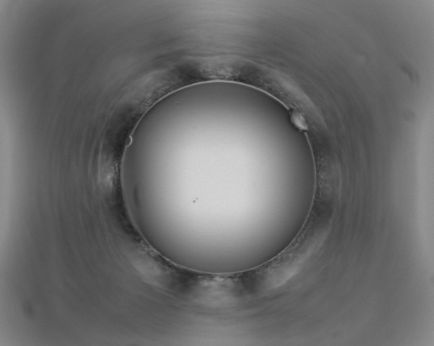 X0000112770125200908201516