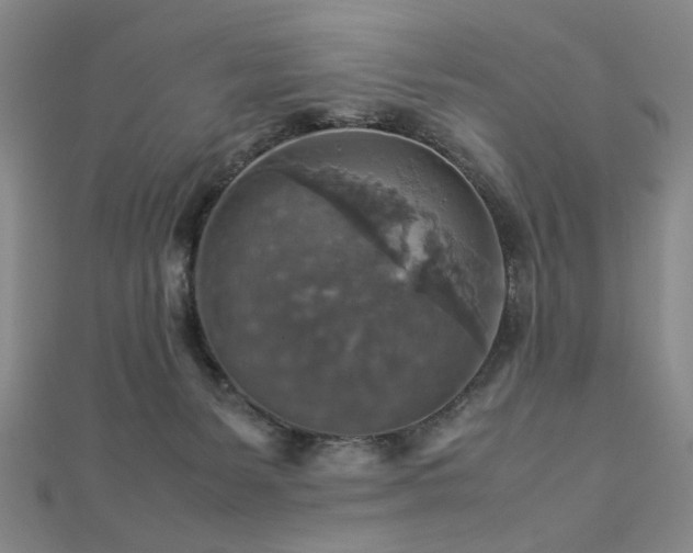 X0000112770127200908201516