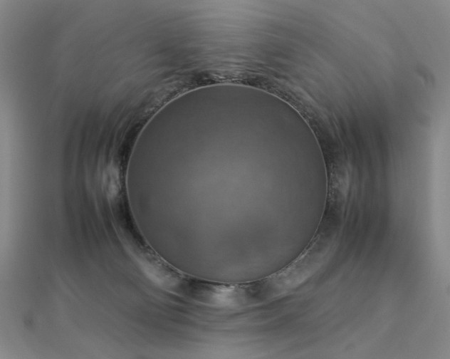 X0000112770130200908201516