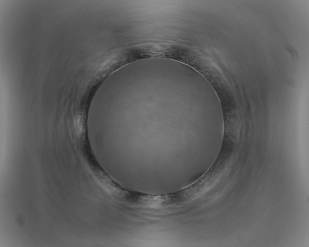X0000112770131200908201516