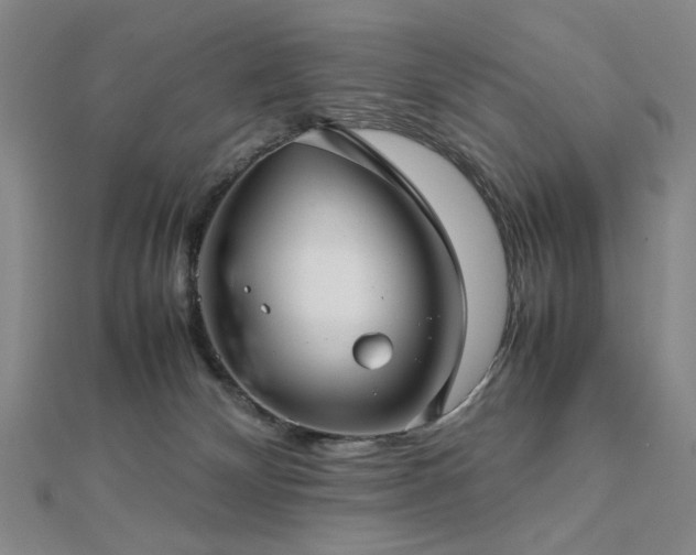 X0000112770132200908201516