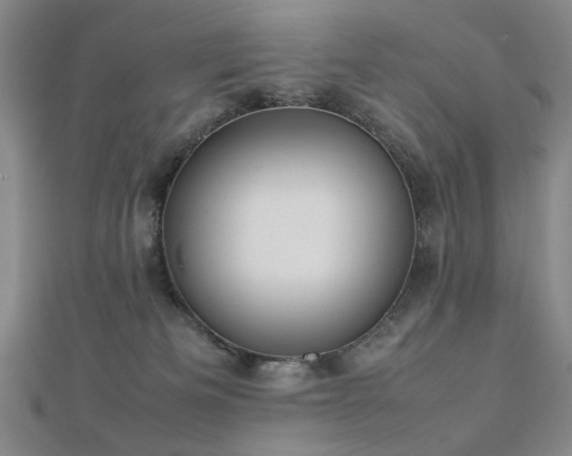 X0000112770133200908201516