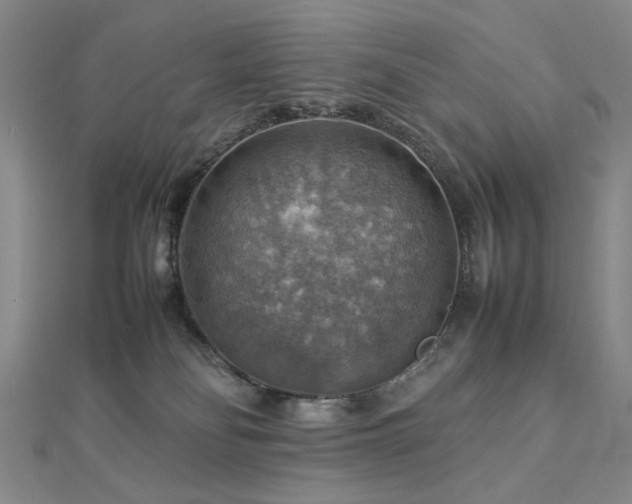 X0000112770134200908201516