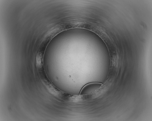 X0000112770138200908201515
