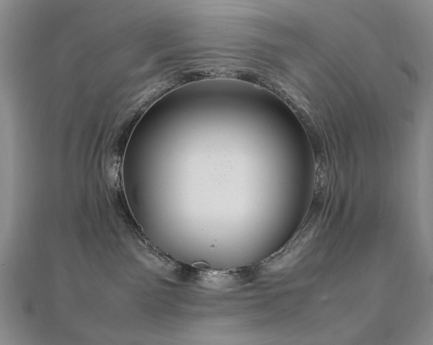 X0000112770141200908201515