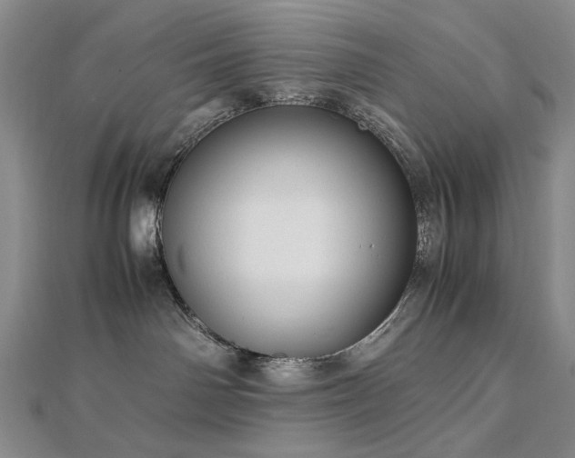 X0000112770142200908201515