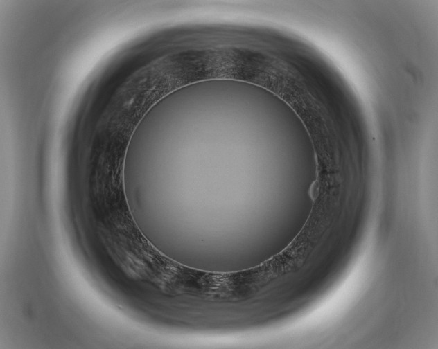 X0000112770143200908201515