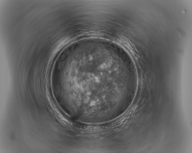 X0000112770145200908201515