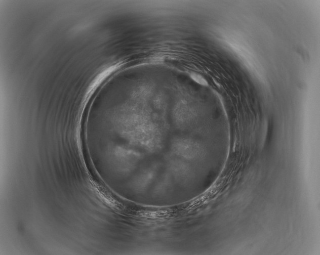 X0000112770147200908201515