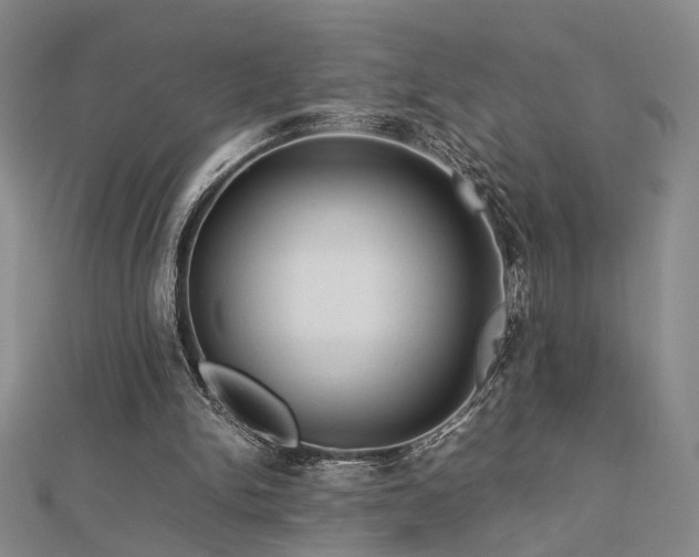 X0000112770150200908201515