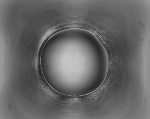 X0000112770152200908201515