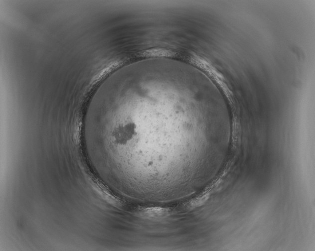 X0000112770153200908201515