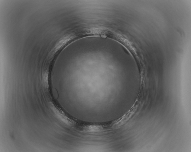 X0000112770154200908201515