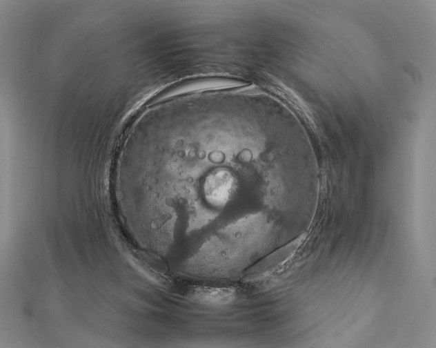 X0000112770155200908201515