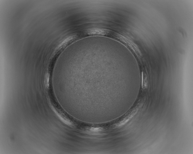 X0000112770157200908201515