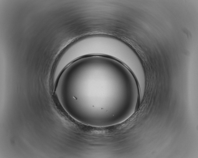 X0000112770160200908201515
