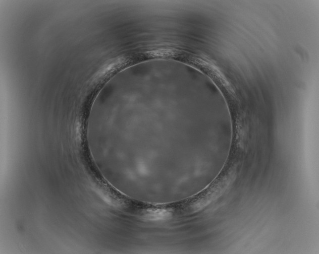 X0000112770161200908201515