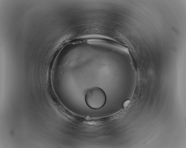 X0000112770163200908201515