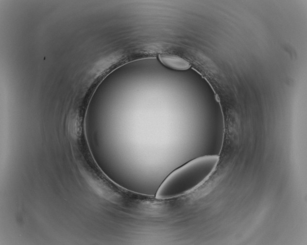 X0000112770164200908201515