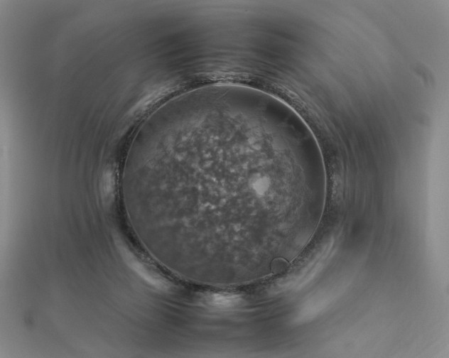 X0000112770165200908201515