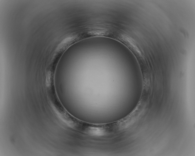 X0000112770167200908201515