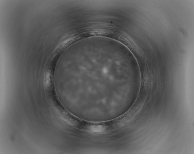 X0000112770169200908201515