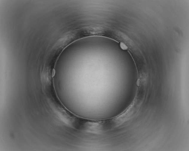 X0000112770170200908201515