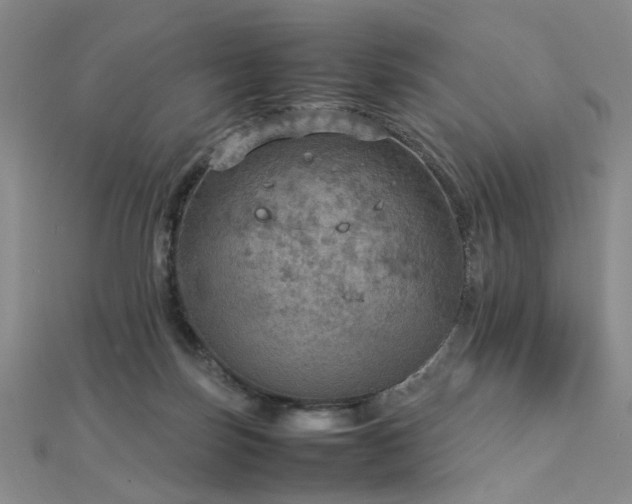 X0000112770171200908201515