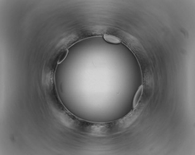 X0000112770172200908201515