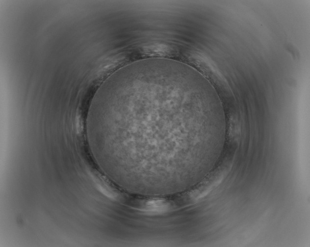 X0000112770173200908201515