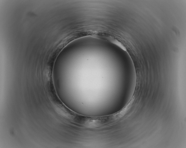 X0000112770174200908201515