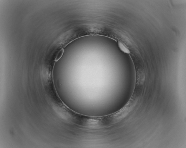 X0000112770176200908201515