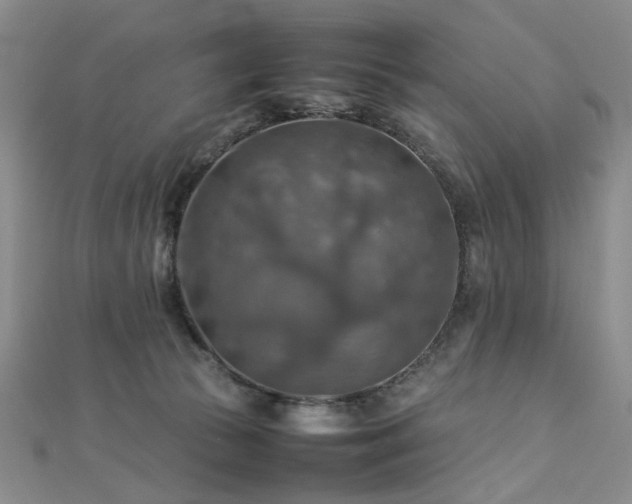X0000112770177200908201515