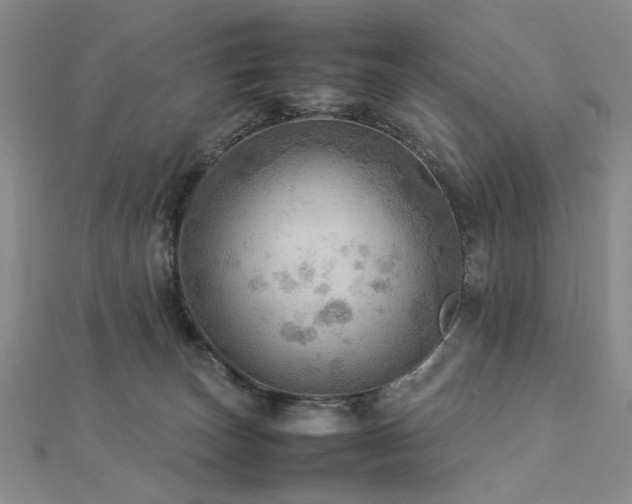 X0000112770179200908201515