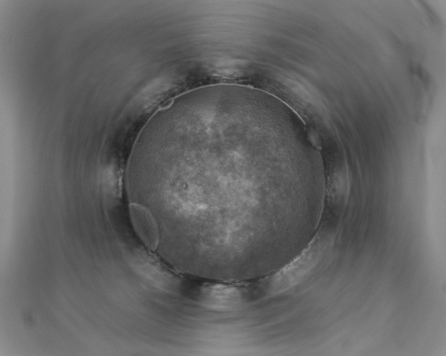 X0000112770180200908201515
