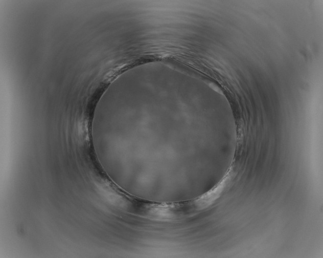X0000112770182200908201515