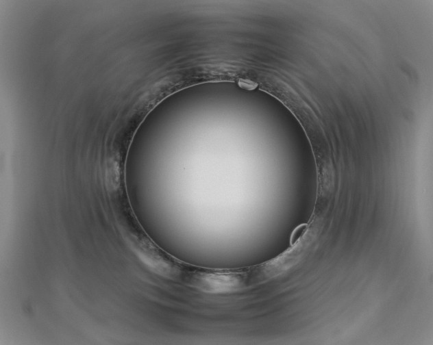 X0000112770183200908201515