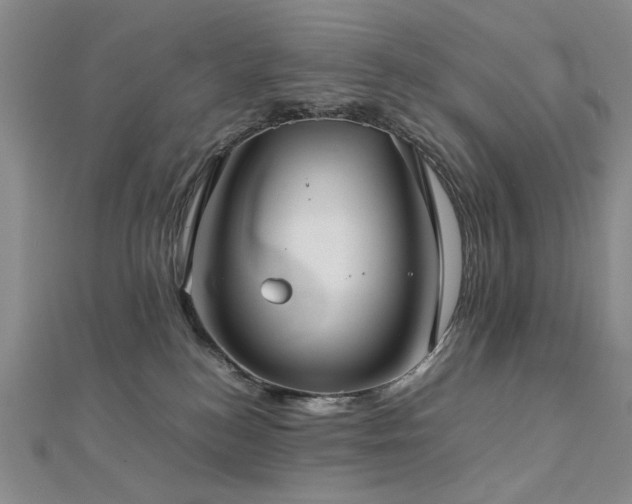 X0000112770184200908201515