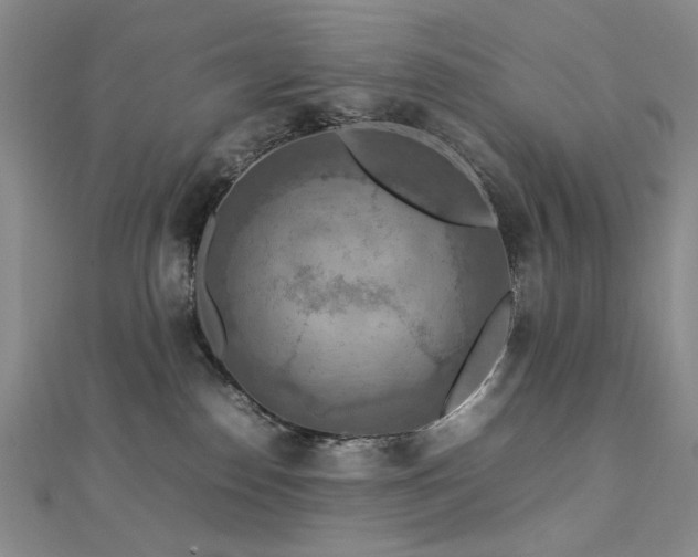 X0000112770186200908201515