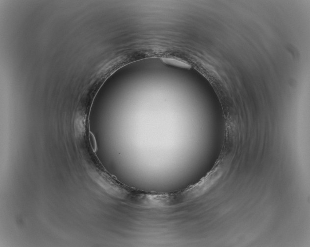 X0000112770188200908201515