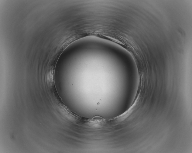 X0000112770190200908201515